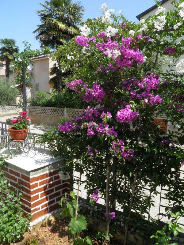 Sendi Apartment Porec Bagian luar foto
